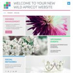 kaleidoscope---overcast-desktop