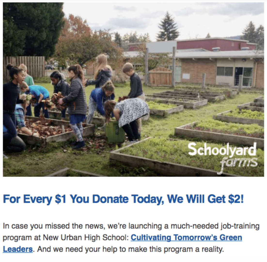 schoolyard farms schoolyard farms