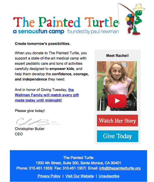 The Painted Turtle