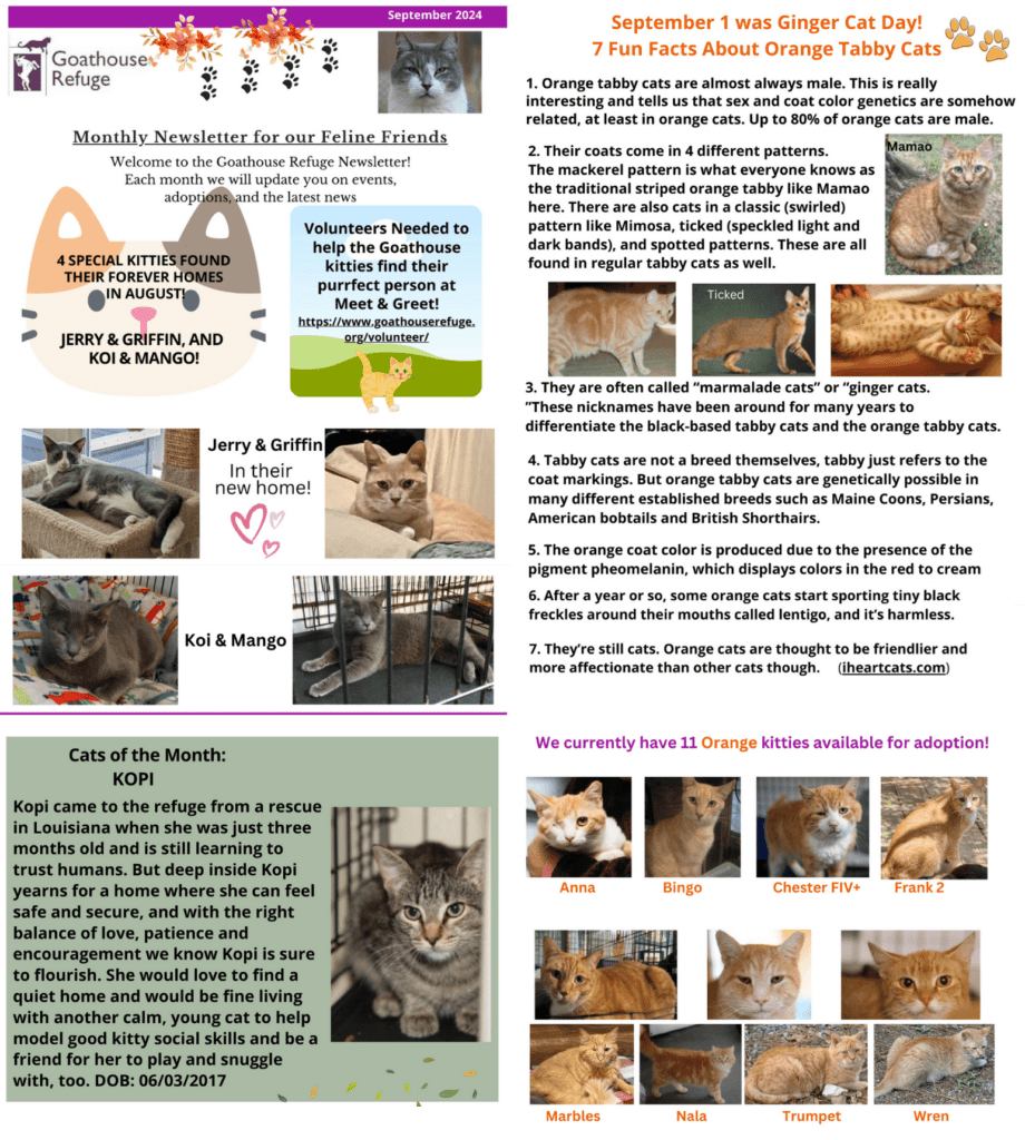 Goathouse Refuge Newsletter